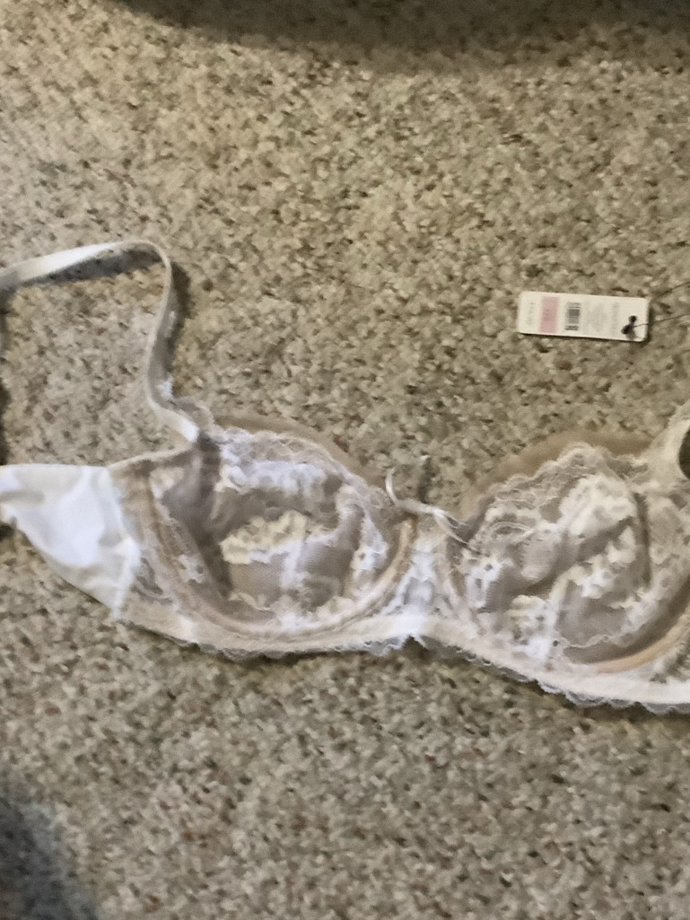 Skarlett Blue Sheer Lace‎ Underwire Bra in White and Nude, 32D